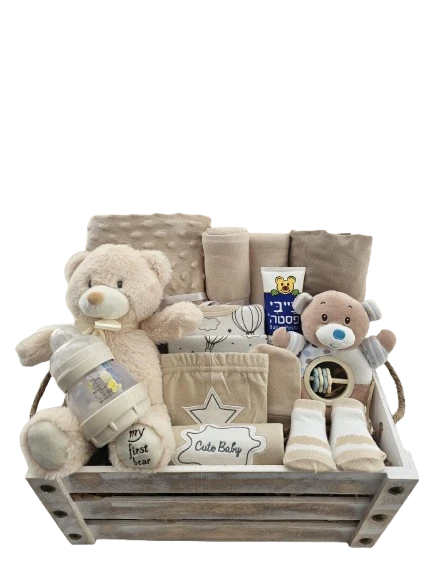 תיבת חלומות